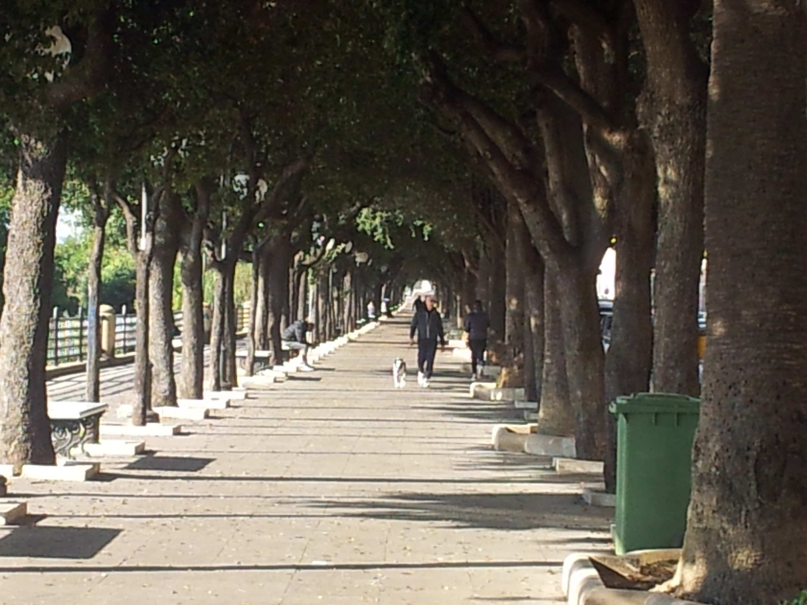Passeggiata del Lungomare
